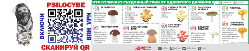 Купить  Великий Устюг  Галлюциногенные грибы Psilocybe 